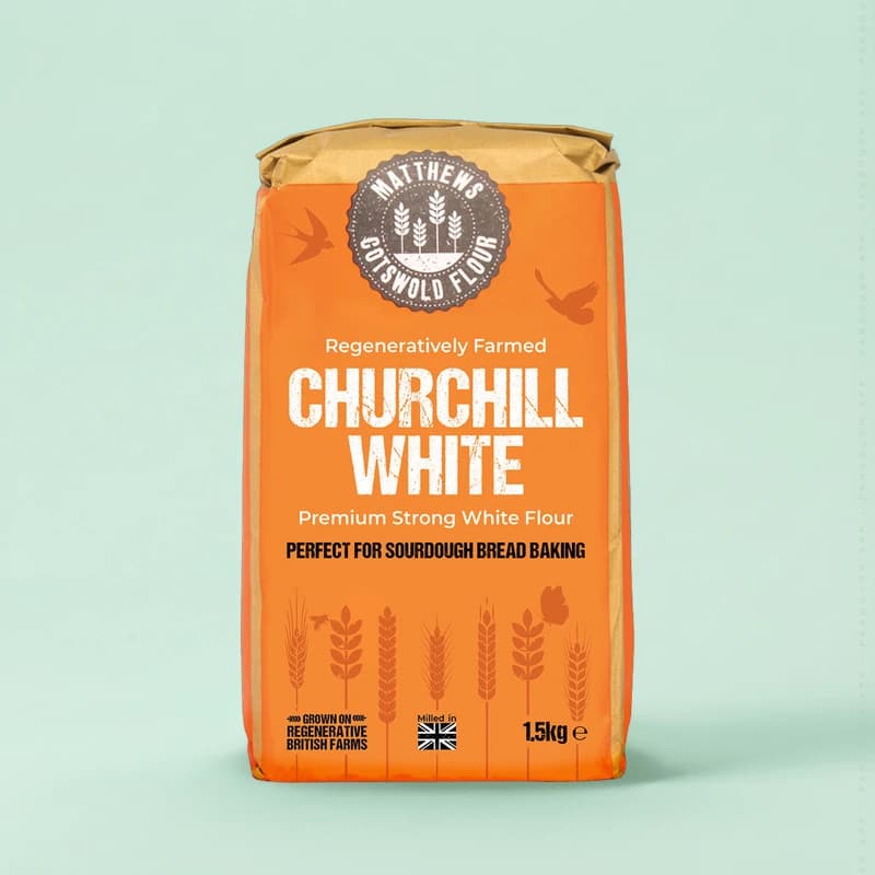 Regenerative Churchill Strong White