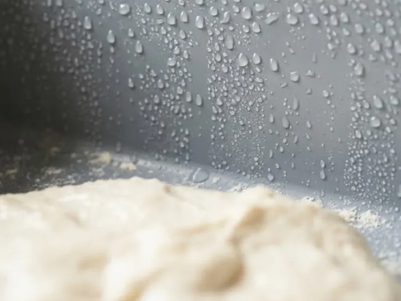 Droplets of condensed vapor on the lid of a container with dough balls